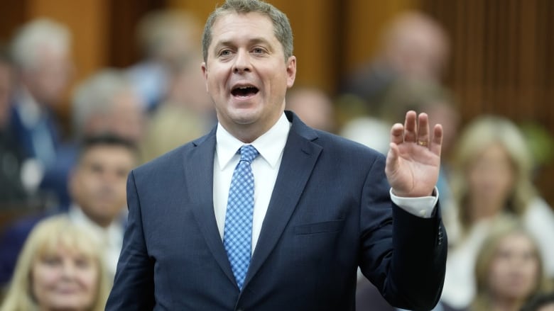 Conservative House leader Andrew Scheer rises during question period in Ottawa on Thursday, May 30, 2024.