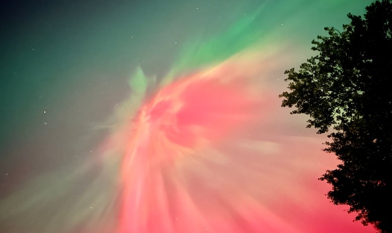 Red and green northern lights in the sky with a tree visible.