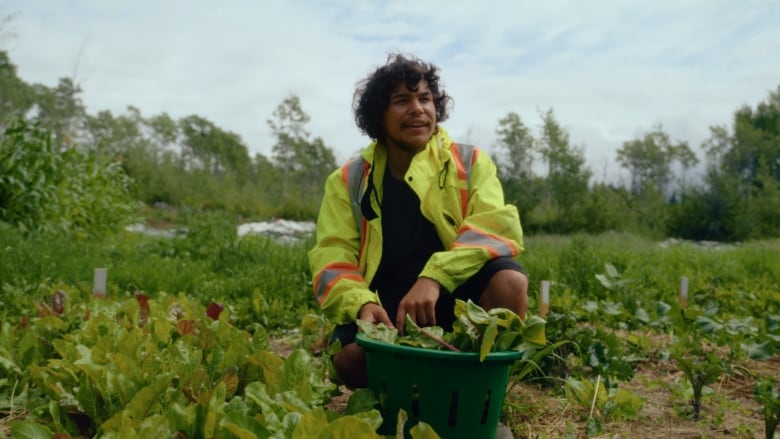 A man in a reflective jacket is seen in a field picking green vegetables and stuffing them in a bucket. 