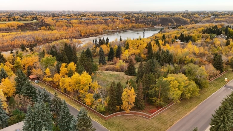 A view of Edmonton from above during the autumn, with orange foliage and the North Saskatchewan River in the background.