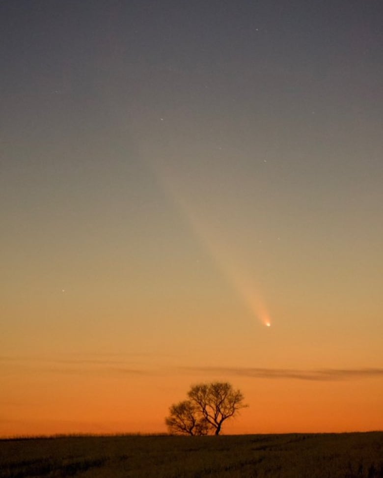 A comet with a long tail is seen during the twilight hour.