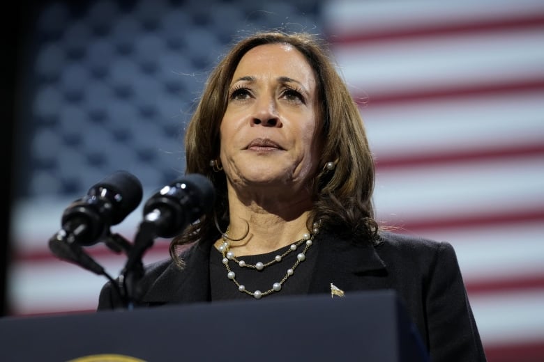 A woman wearing a blazer is shown in closeup behind a microphone and in front of an American flag.