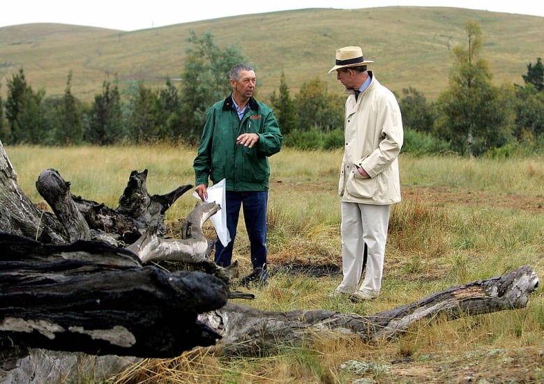 Two people stand in a field near an old stump.