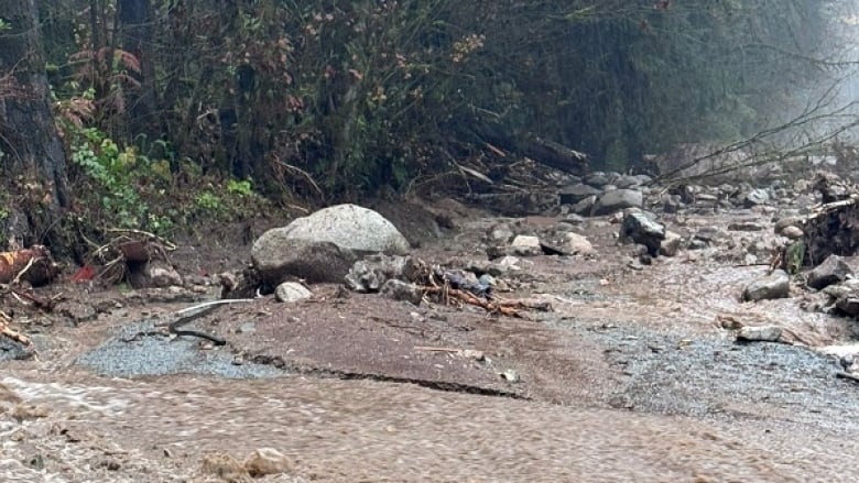 Muddy water is seen flowing through a treed area. 