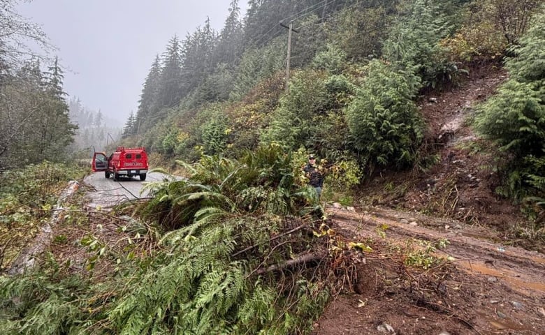 Debris, including tree branches and mud, covers a road