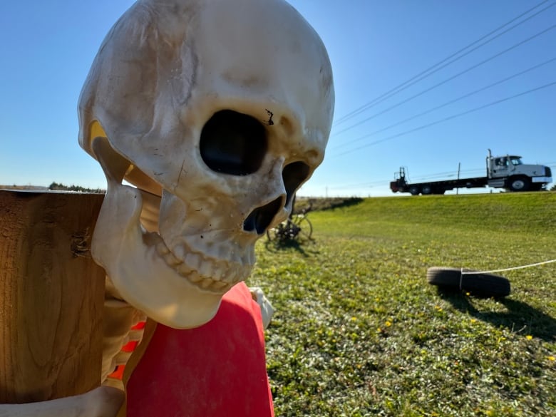 Close up of plastic skeleton skull.