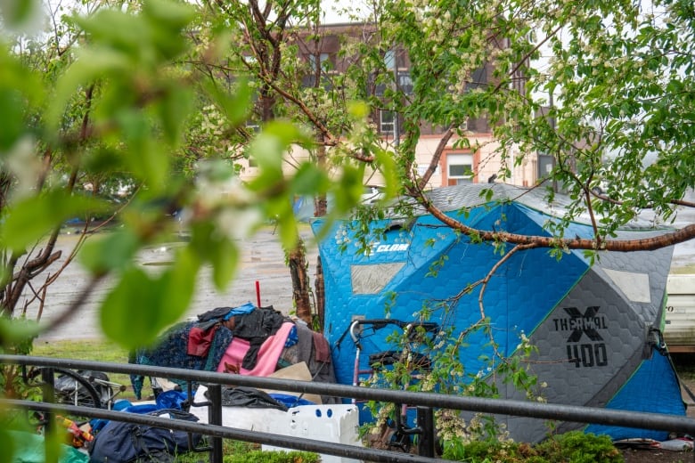 A tent is seen through trees.