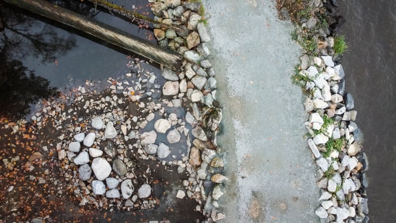 A drone shot of a bouldered pathway with a log, a small pond on the left, and the slightly visible water of a much larger lake on the right. 