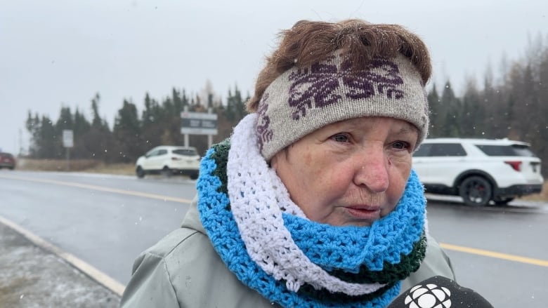 Woman with brown hair wearing a headband. She has a blue and white scarf wrapped around her neck. Behind her is a road with vehicles. It is lightly snowing.