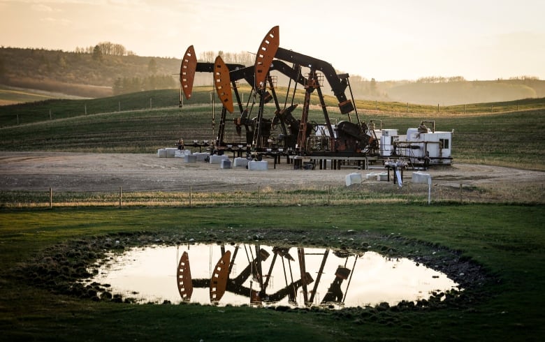 Pumpjacks are seen in front of a sunset.