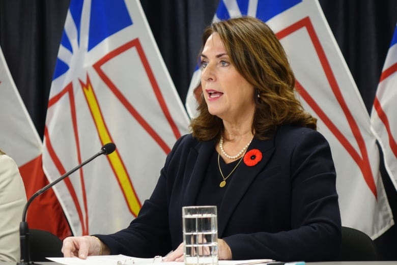 Woman with dark hair wearing all black talks in front of Newfoundland and Labrador flags.