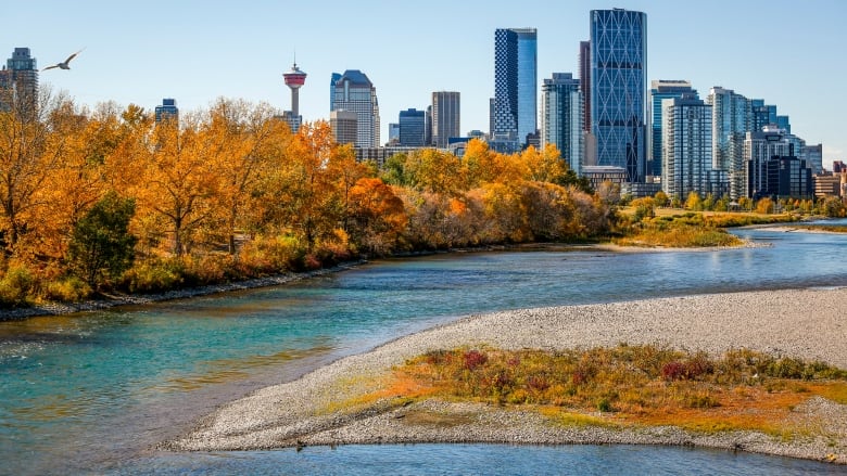 A cityscape is pictured, with a flowing river and yellow fall colours throughout.