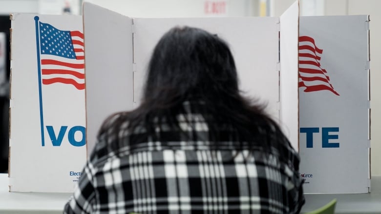 The back of a person is shown at a voting booth, with an American flag shown.