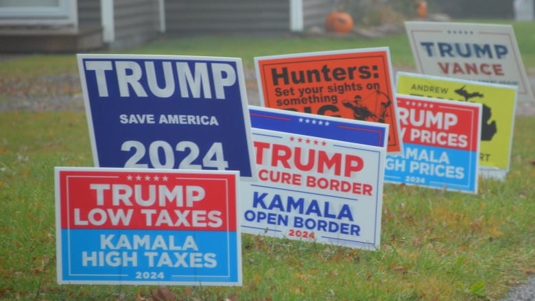 A collection of pro-Trump signs on a lawn 