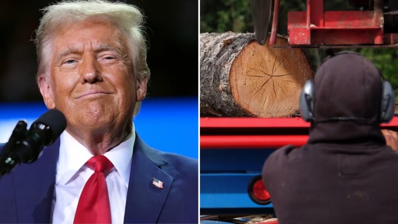 A man in a blue suit with a red tie smiles on stage at a political rally. A forestry worker examines a cut log on the back of a red flat deck truck.