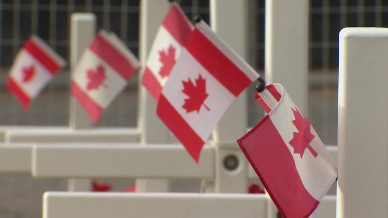 The Field of Crosses is an annual memorial project for veterans in Calgary.