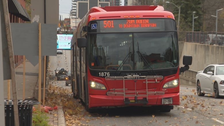 Brampton bus service 1