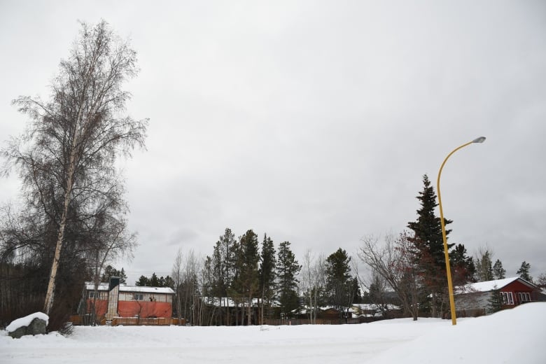 snow covers empty lots. other homes can be seen in the background