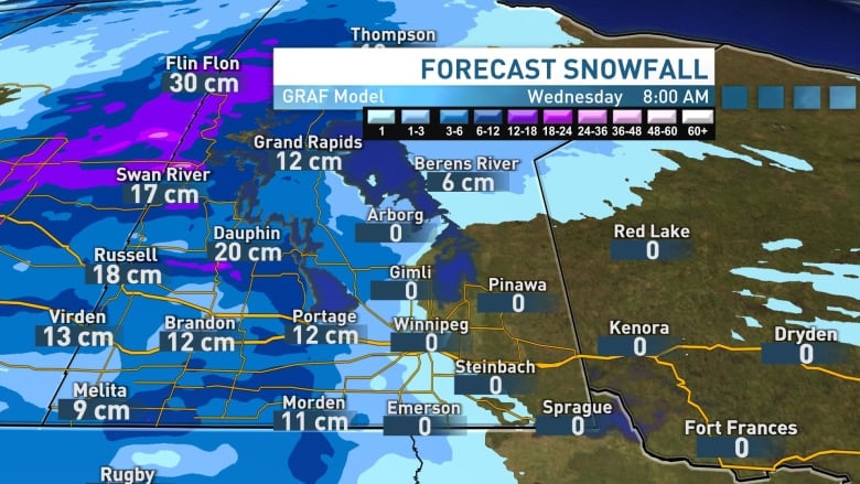 A graphic of Manitoba with snowfall totals.