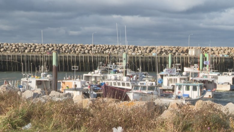 fishing boats tide up at a wharf