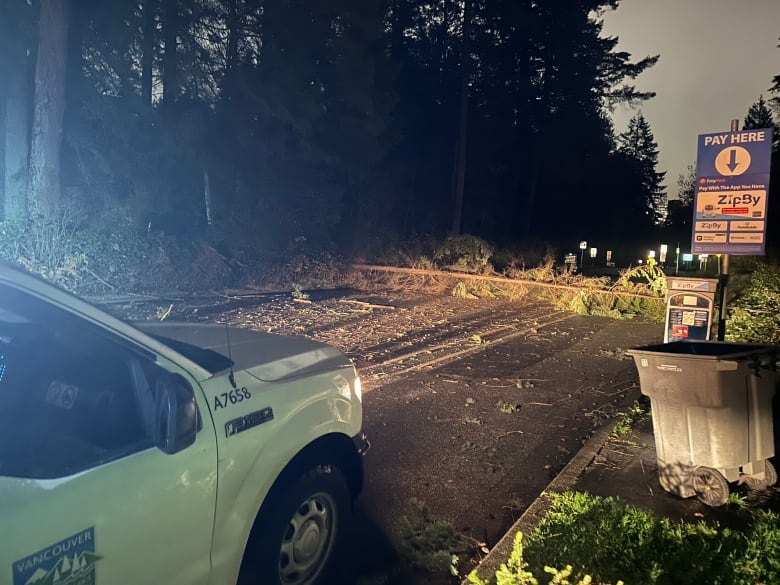 A car's headlights shine on a fallen tree in a large park.