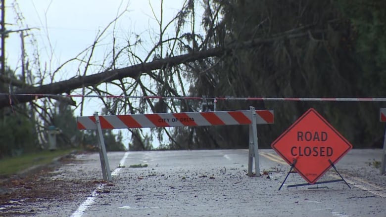 A sign that says Road Closed in the foreground with a fallen tree in the background. 