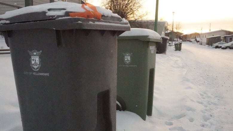 Residential garbage and compost bins by curb on snowy street.