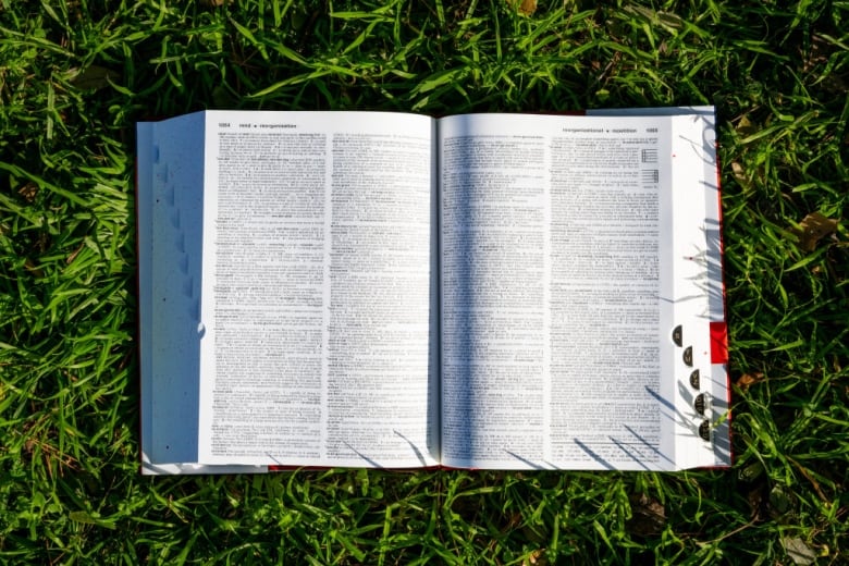 An open dictionary book lying the grass