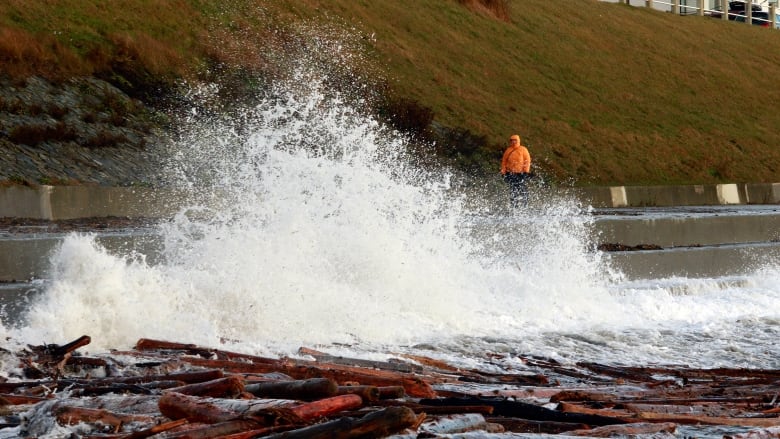 A person walks along a sidewalk as waves crash into the breakwater, with logs crashing ashore in the aftermath of a bomb cyclone or windstorm.