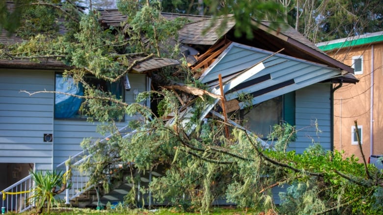 Two trees down on a property along hwy 14 blocking the driveway to a waterfront home