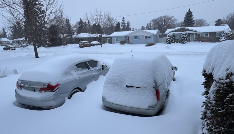 A driveway with two cars covered in snow. 