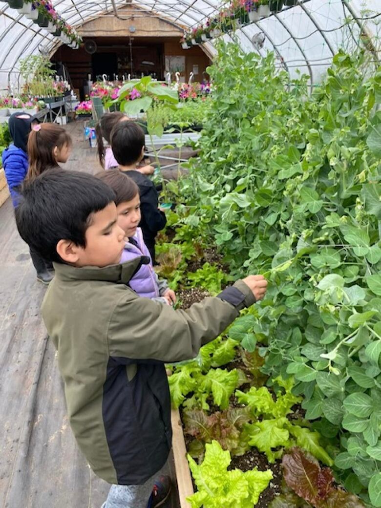 A picture taken in a greenhouse of little kids looking at plants. 