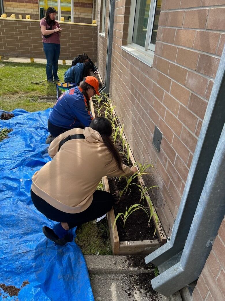 A picture of youth working with elders planting vegetables. 