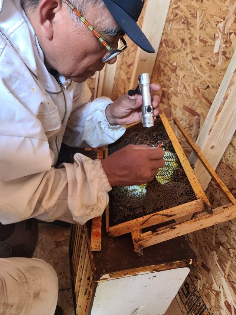 A photo of an elder working with bees. 