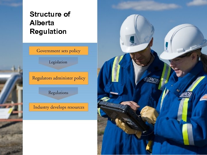 Alberta Energy Regulator Shuts Down Calgary Oil Firm Over Tax Debts and Environmental Violations
