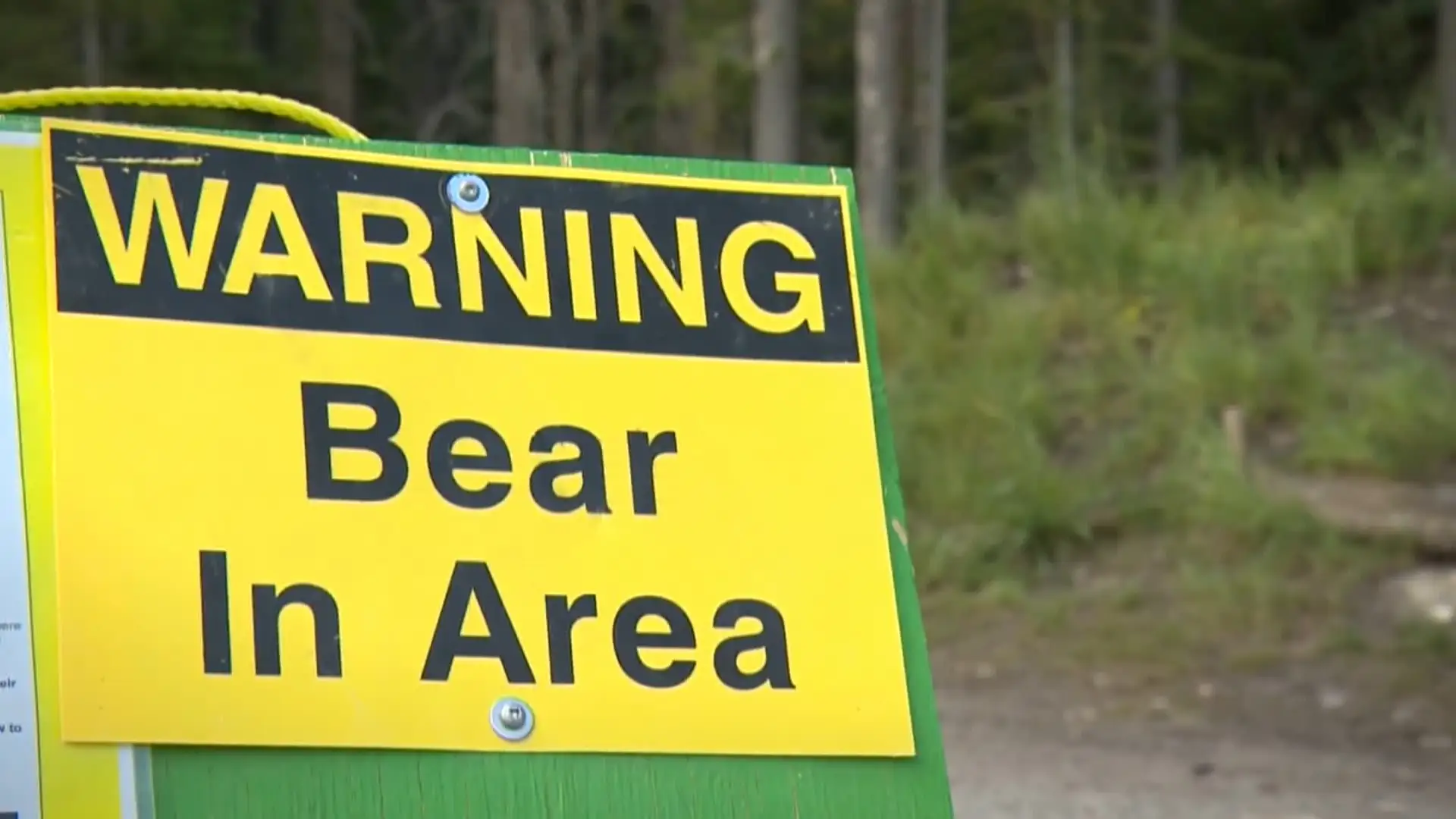 Bear Alert: Multiple Closures Issued Across Kananaskis After Aggressive Encounters