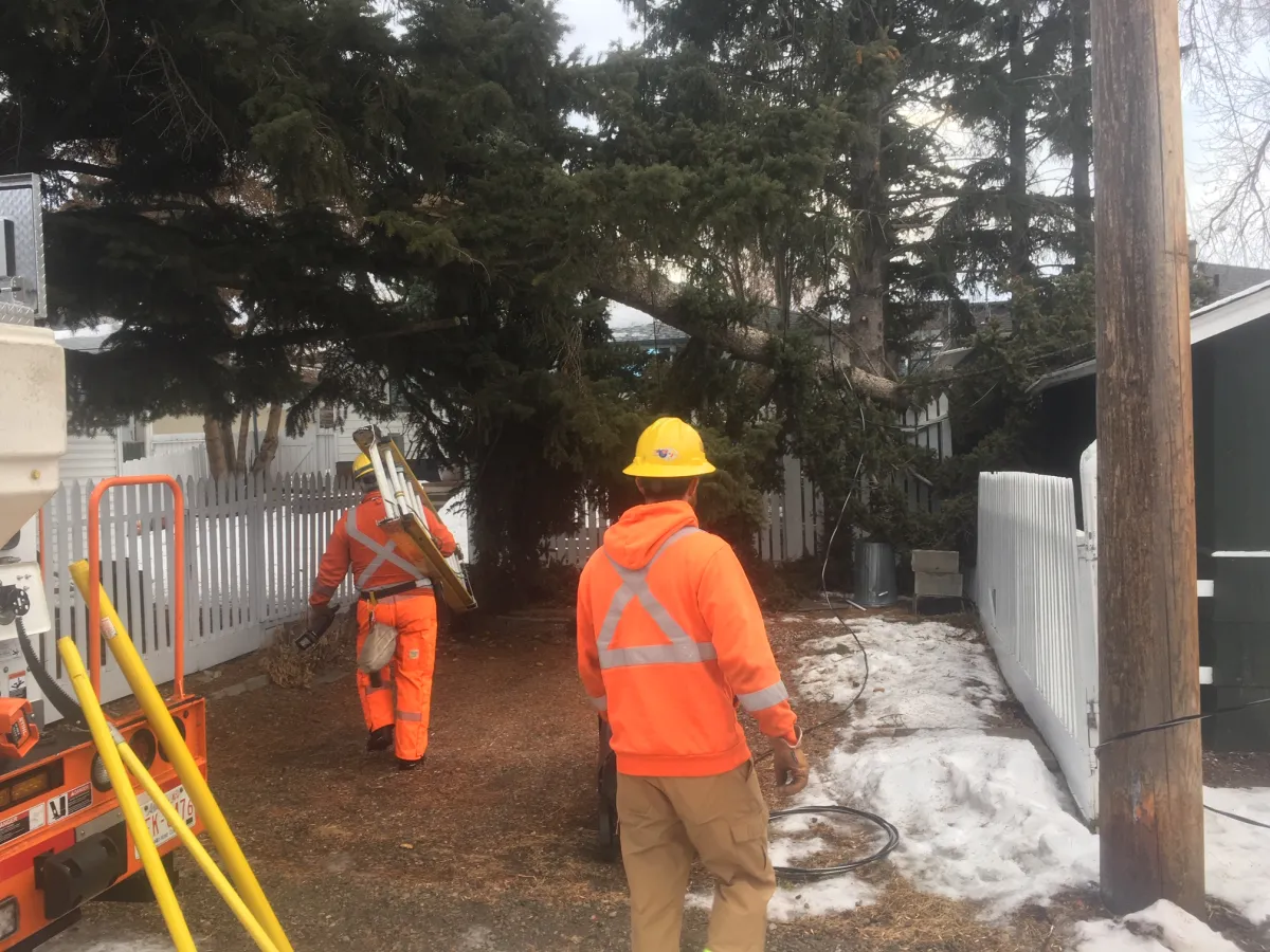 Calgary Battered by Dangerous 90 km/h Winds — Fire Crews Overwhelmed with Emergency Calls