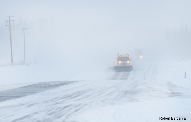 Highway 63 Stranded Drivers Demand Answers After Overnight Blizzard Nightmare