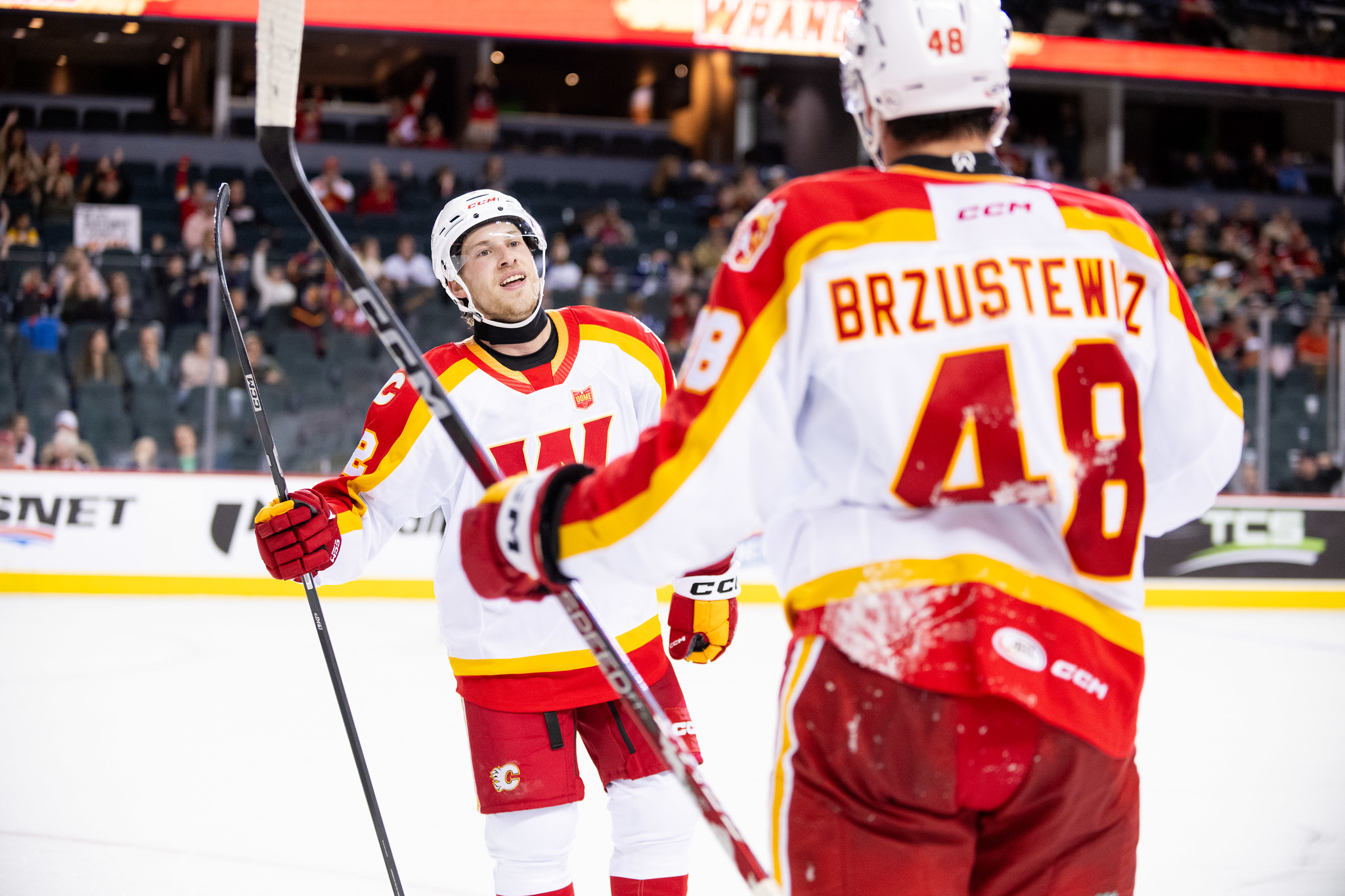 Wranglers Set to Battle Bakersfield as AHL Action Roars Back to Life